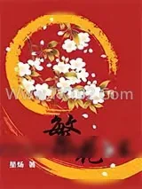 《繁花之乱》小说封面