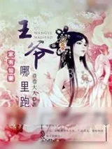 《家有仙妻：王爷哪里跑》小说封面