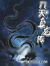 《九天真龙传》小说封面