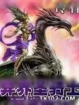 《异界圣骑士》小说封面