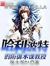 《哈利波特的防御术课教授》小说封面