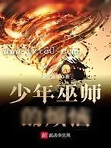 《少年巫师的烦恼》小说封面