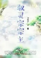 《驭灵宗宗主》小说封面