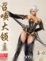《召唤大领主》小说封面