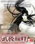 《武极巅峰》小说封面