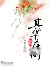 《其华在侧》小说封面