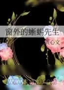 《窗外的蜥蜴先生》小说封面