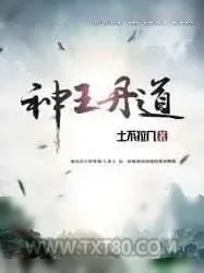 《神王丹道》小说封面
