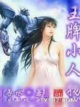 《王牌小人物》小说封面