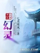 《幻灵》小说封面