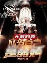 《无敌的我以为自己是弱鸡》小说封面