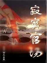 《寂寞官场》小说封面