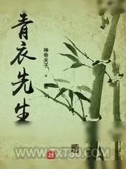《青衣先生》小说封面