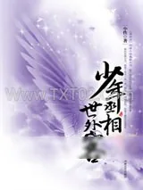 《少年丞相世外客》小说封面
