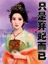 《只是弃妃而已》小说封面