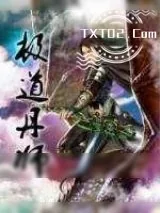 《圣天经》小说封面