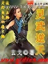 《灵武逆天》小说封面