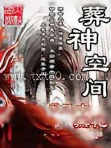 《葬神空间》小说封面