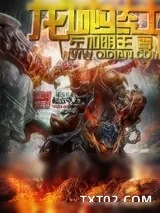 《佐加明王》小说封面