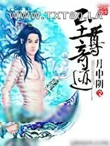 《至尊奇迹》小说封面