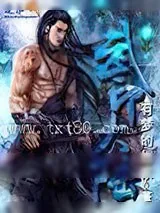 《武印大陆》小说封面