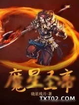 《魔星圣帝》小说封面