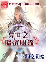 《异世之魔武风流》小说封面
