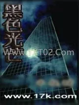 《黑色光芒》小说封面