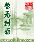 《红尘醉梦游》小说封面