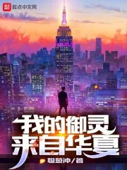 《我的御灵来自华夏》小说封面