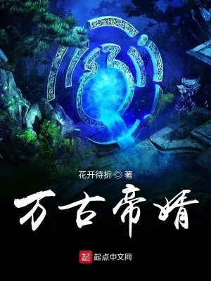 《万古帝婿》小说封面