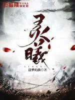 《灵曦》小说封面