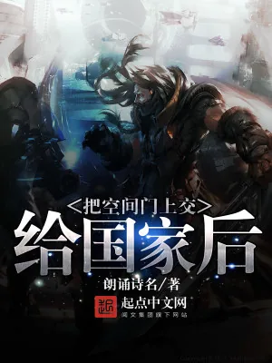 《把空间门上交给国家后》小说封面