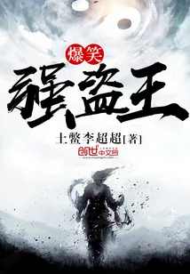《爆笑强盗王》小说封面
