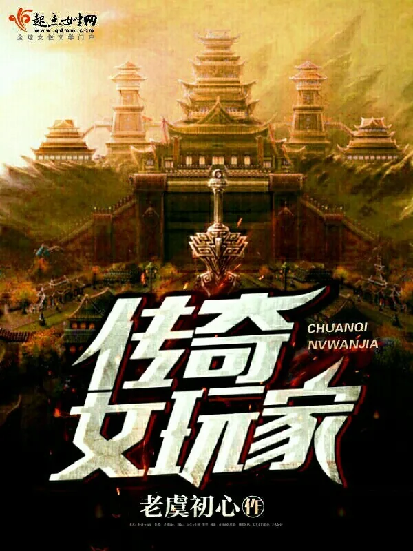 《传奇女玩家》小说封面