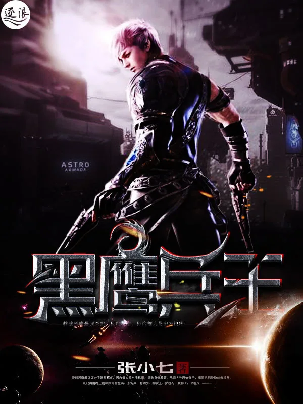 《黑鹰兵王》小说封面