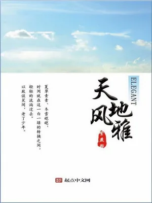 《天地风雅》小说封面