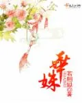 《华姝》小说封面