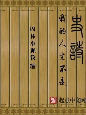 《我的人生不是史诗》小说封面
