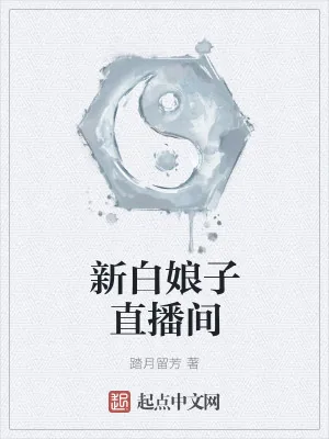 《新白娘子直播间》小说封面