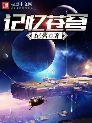 《记忆苍穹》小说封面
