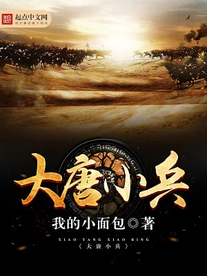 《大唐小兵》小说封面