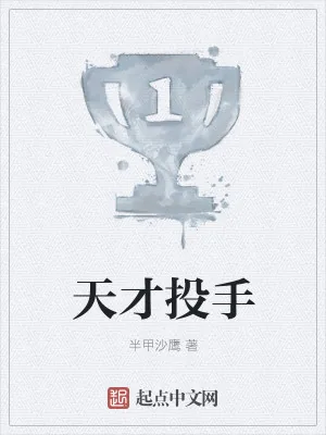 《天才投手》小说封面