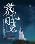 《我从凡间来》小说封面