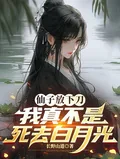 《仙子放下刀，我真不是死去白月光》小说封面