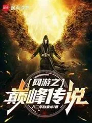 《网游之巅峰传说》小说封面