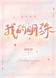 《我的明珠》小说封面