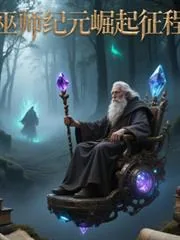 《巫师纪元：崛起征程》小说封面