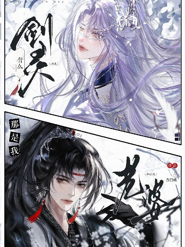 《什么剑灵，那是我老婆！》小说封面