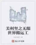 《美利坚之无限世界搬运工》小说封面